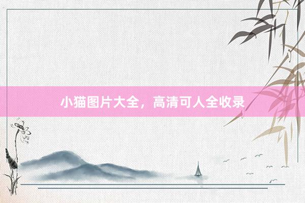 小猫图片大全，高清可人全收录