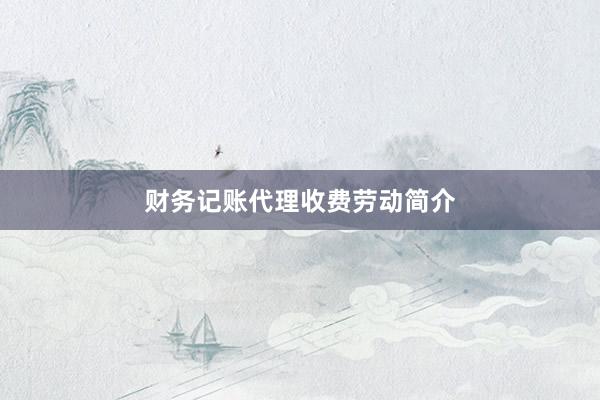 财务记账代理收费劳动简介